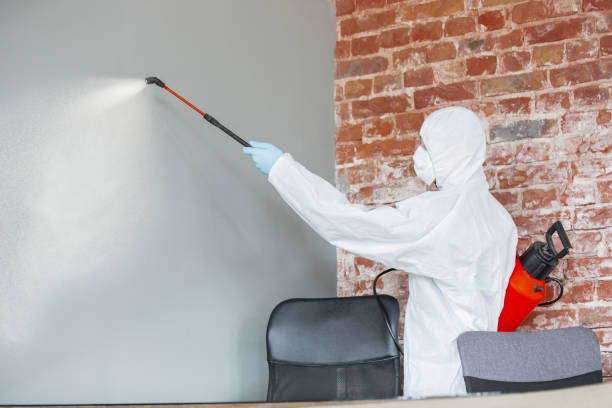 Biohazard Mold Removal in Aristocrat Ranchettes, CO