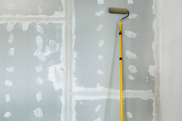 Mold Remediation for Vacation Homes in Aristocrat Ranchettes, CO