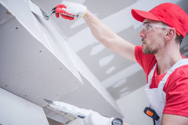 Best Mold Odor Removal Services  in Aristocrat Ranchettes, CO